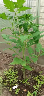 20230524_090702.webp