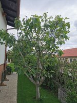 IMG_20230524_121005.jpg