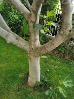 IMG_20230524_121024.jpg