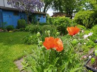 IMG_20230524_122440.jpg