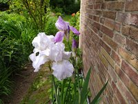 IMG_20230524_122533.jpg