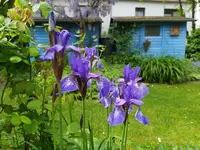 IMG_20230524_122458.webp