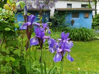 IMG_20230524_122458.jpg