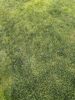 IMG_2434.jpeg