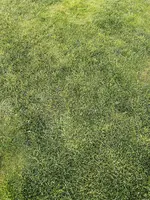 IMG_2434.webp
