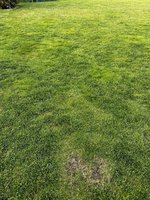 IMG_2432.jpeg