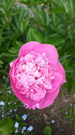 20230524_173723.webp