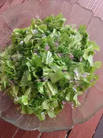 IMG_20230524_183652.webp