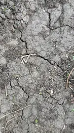 IMG_5970.webp IMG_5970.webp