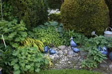 Mai    2123.webp