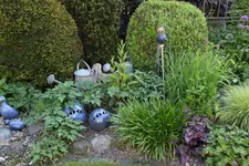 Mai    2223.webp
