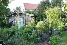 Mai    2823.webp