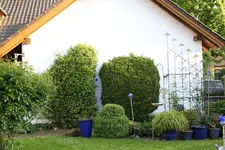 Mai    3123.webp