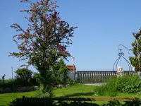 DSC02933.webp