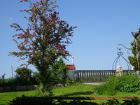 DSC02933.JPG