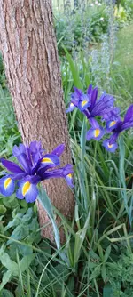 20230524_182941.jpg