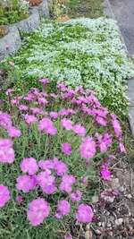 20230525_191840.webp