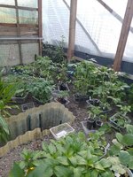 IMG_20230526_081150.jpg