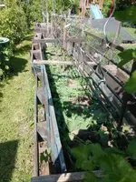 IMG_20230525_161502.webp