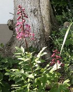 53FD8901-C203-4CBD-868D-038C1BF0AE8C.jpeg