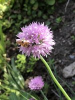 81732D53-631F-463C-9A93-E50CBD782AE9.jpeg