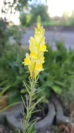 20230525_191614.webp