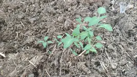 IMG_20220511_170504.webp