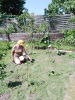 IMG_20230526_131552.jpg