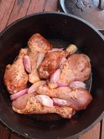 IMG_20230526_154910.jpg