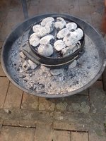 IMG_20230526_161407.jpg