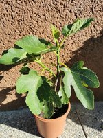 IMG_20230527_074804.jpg