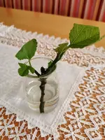 IMG_20230527_075613.jpg