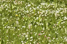 image002.jpg