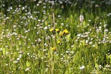 image003.jpg