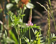 image004.jpg