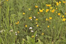 image005.jpg