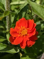 PXL_20230527_122443088.jpg