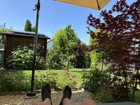 IMG_9002.jpeg