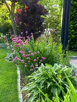 IMG_9004.webp