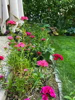 IMG_9006.webp
