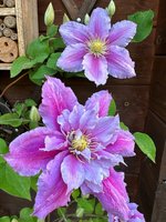 IMG_9008.jpeg