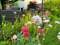 IMG_9010.jpeg