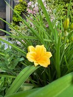 IMG_9012.jpeg