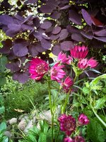 IMG_9014.jpeg