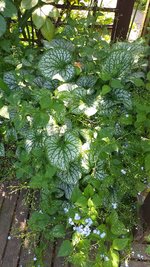 20230527_120556.jpg