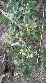 IMG_5985.jpeg