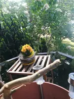 IMG_20230528_083758.webp