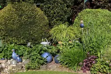 Mai    3423.webp