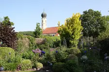 Mai    3523.webp