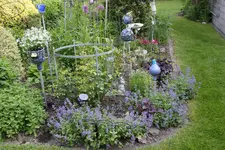 Mai    3623.webp